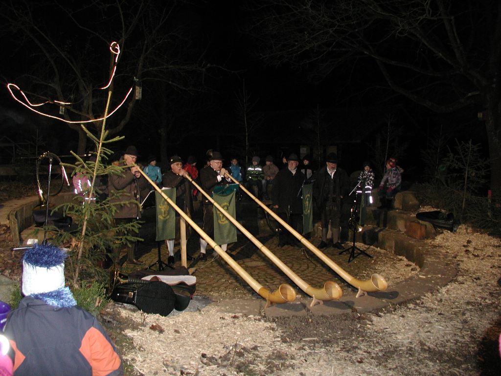 Die Wallersdorfer Alphornbläser