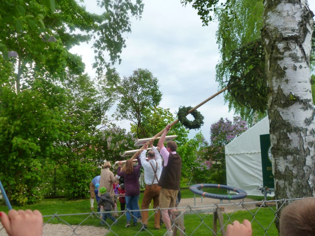 2015 05 22 Maifest Pusteblume 1