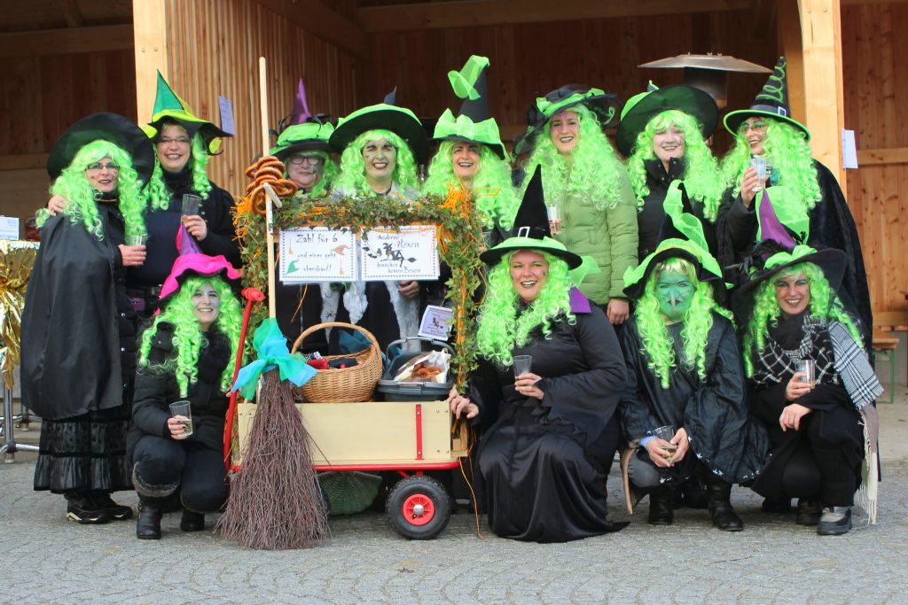 2016 01 17 Faschingsumzug 11