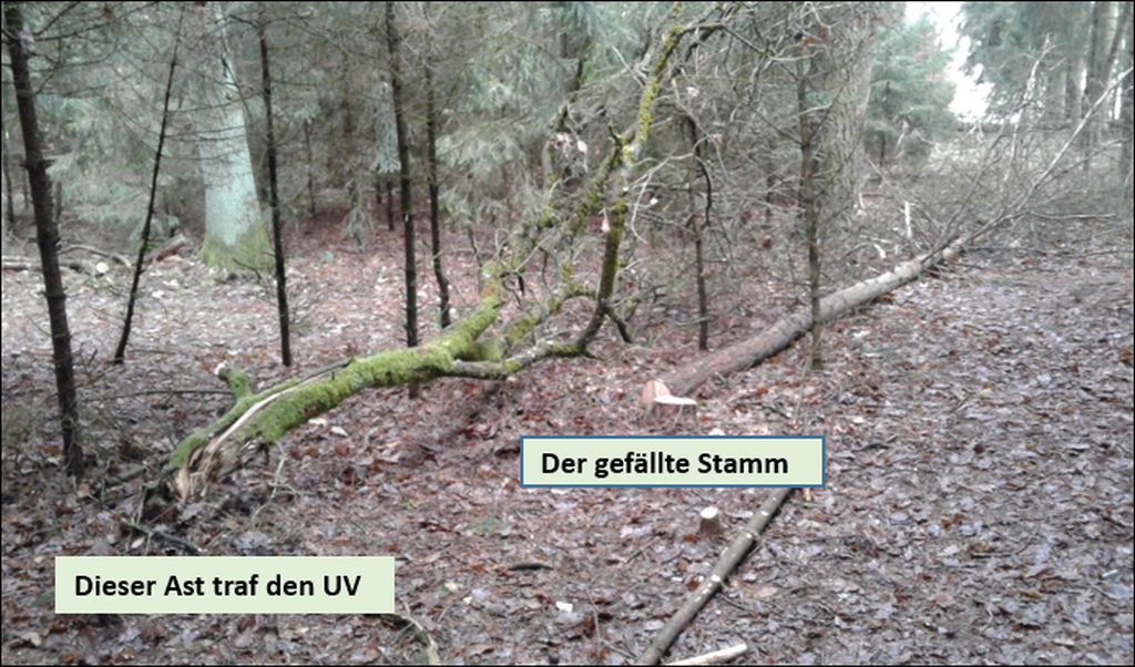 2018 04 10 Querschnittslähmung durch Totholzast