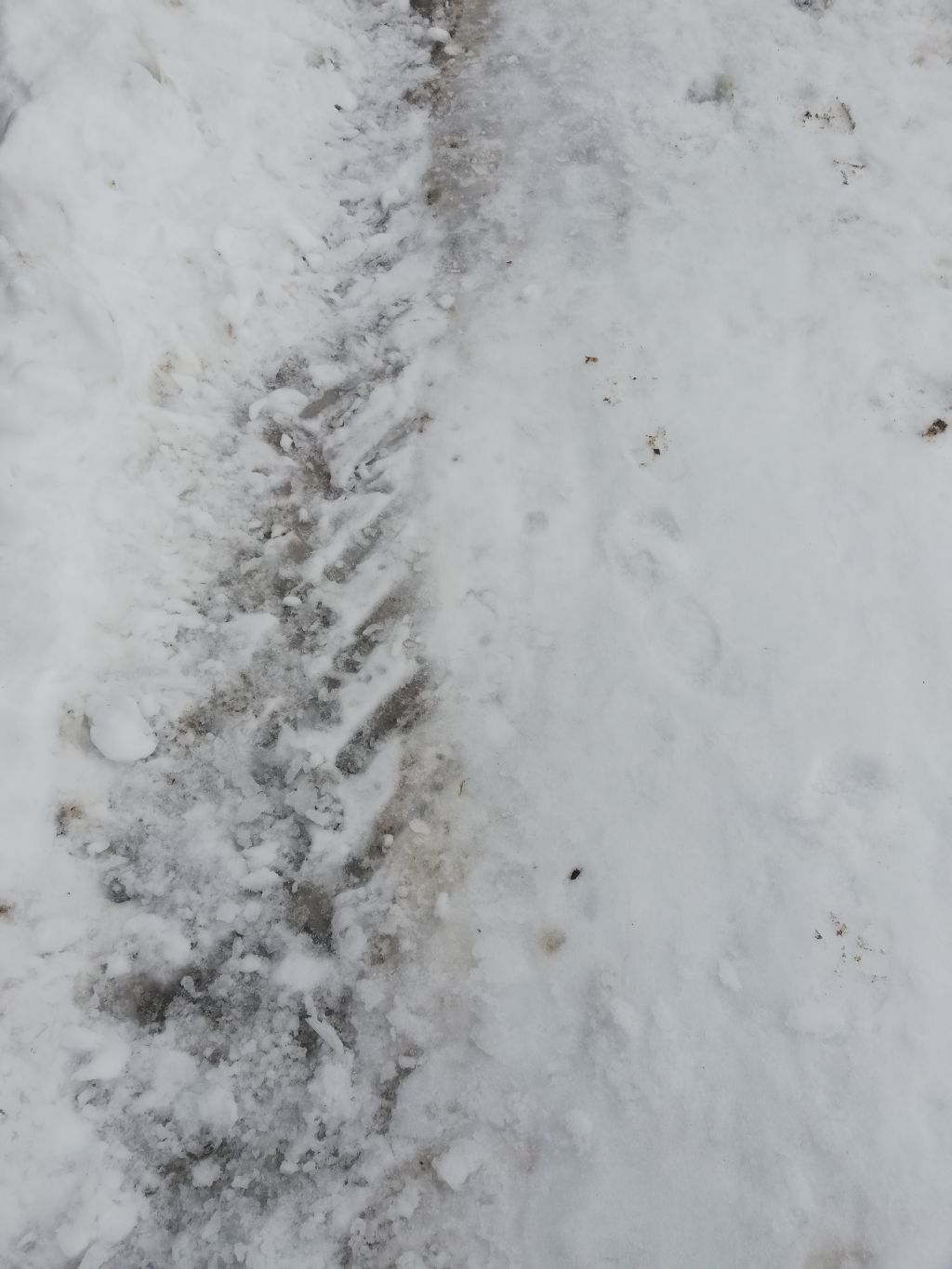 2019 02 05 Eisglätte1 IMG 20190128