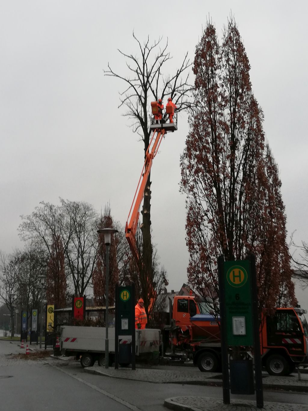 2019 02 20 Baumarbeiten 01k