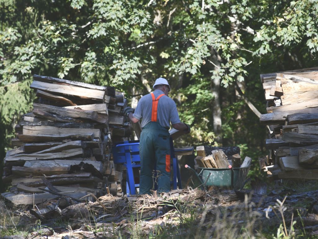 2020 01 31 Wippkreissaege Verletzungen DSC1681 A