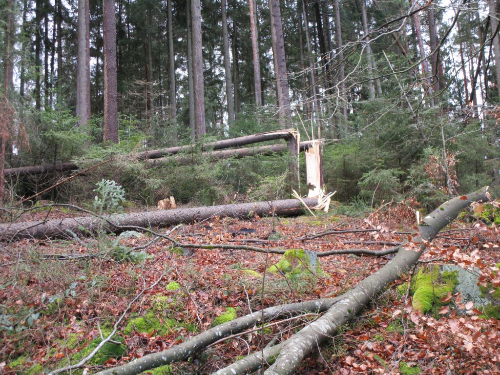 2020 02 13 Sturmaufarbeitung22