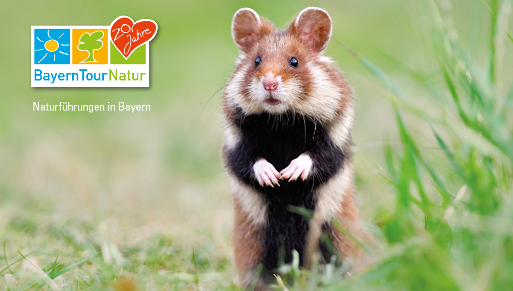 2020 07 27 Bayern Tour Natur