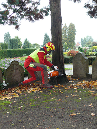 2020 12 14 1 Fällung Friedhof