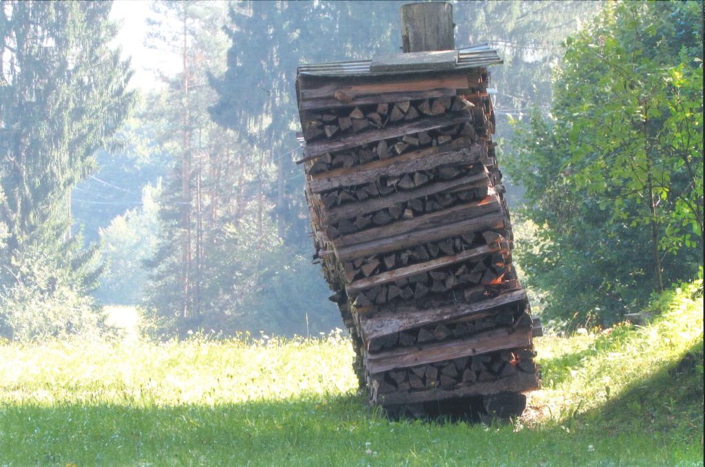2021 03 04 Brennholzstapel