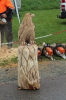 IMG_4773