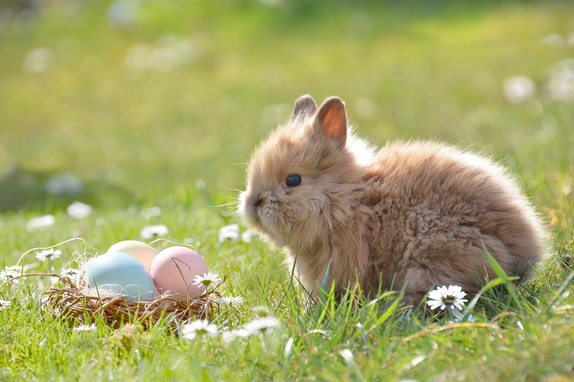 easter 2197043 1920