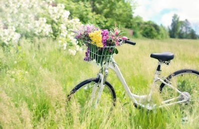 Fahrrad in der Wiese